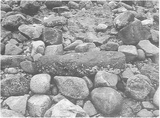 平成6（1994）年志賀島西側海岸で発見された碇石（いかりいし）