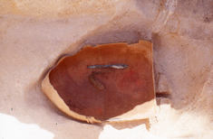 上月隈遺跡第3次調査・中細形銅剣の出土状況（ST007）
