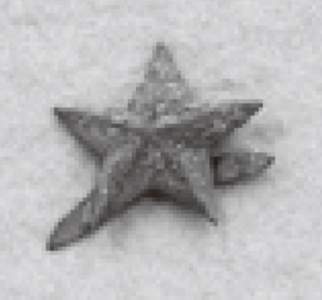 星形帽子徽章(福岡城跡出土)