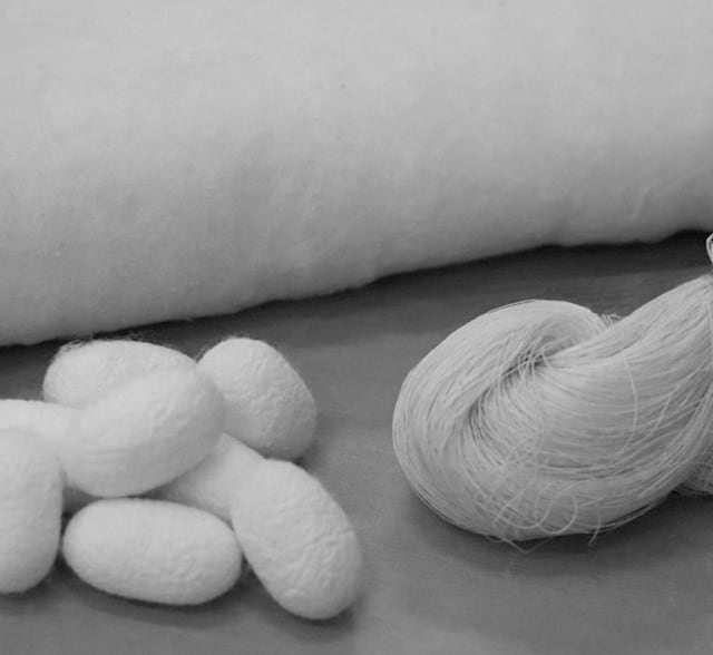 繭と繭からつくられる真綿・絹糸