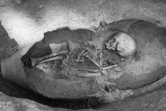 写真1 甕棺に葬られた子ども(博多区金隈遺跡)