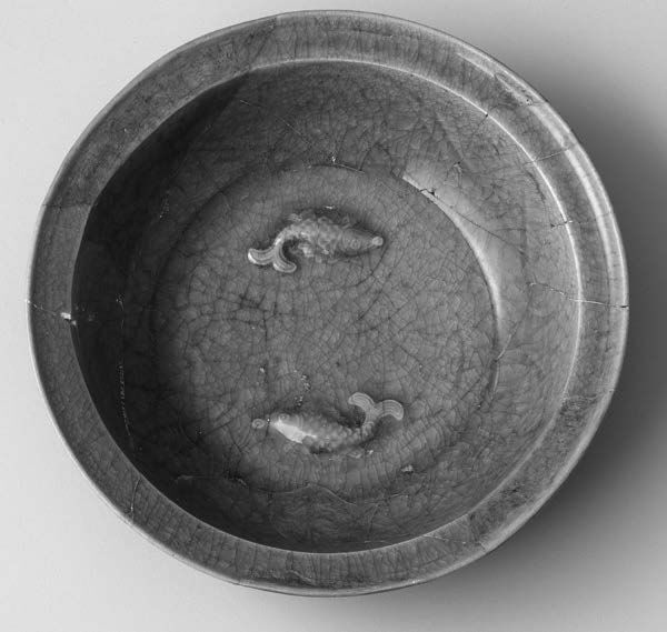 土の中のアクアリウム