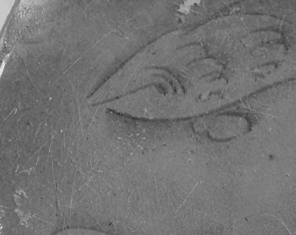 土の中のアクアリウム